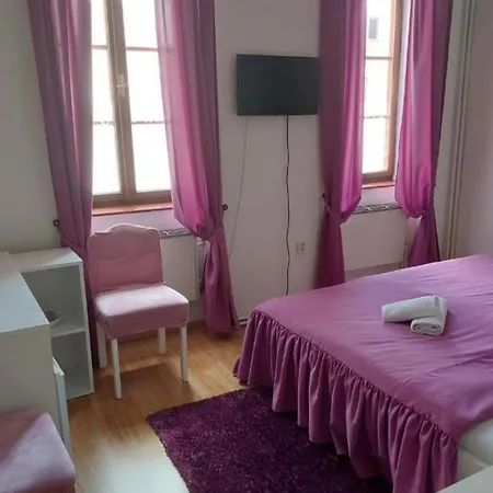 Guest house Asila Karlovy Vary